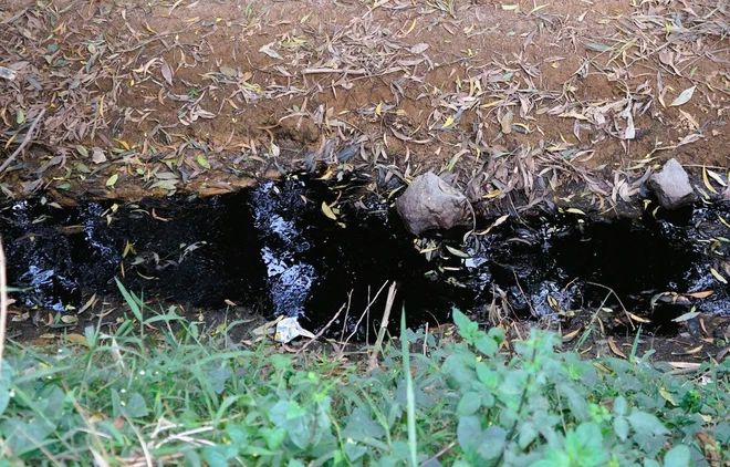 Nước đen ngòm từ bãi rác thải chảy ra con mương dẫn về cánh đồng của người dân phường Bỉm Sơn