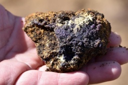 Kinh doanh - Bên trong nhà máy đất hiếm lớn nhất châu Âu và tham vọng thoát phụ thuộc Trung Quốc