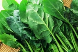 Gan nhiễm mỡ: 5 thực phẩm giúp bổ gan, giải độc tự nhiên