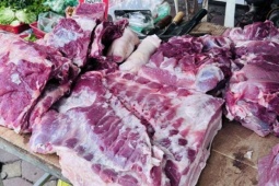 Hơn 800.000 tấn thịt 'ngoại' giá rẻ đổ bộ, giá lợn hơi chạm đáy 4 năm