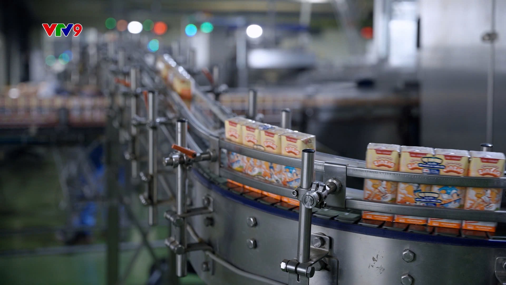 Zinzin Xưa & Nay – Hành Trình Trưởng Thành Cùng Morinaga Nutritional Foods Việt Nam - 3