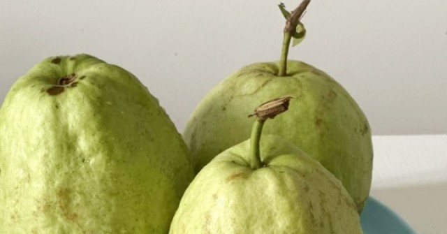 Lý do bạn nên ăn ổi mỗi ngày