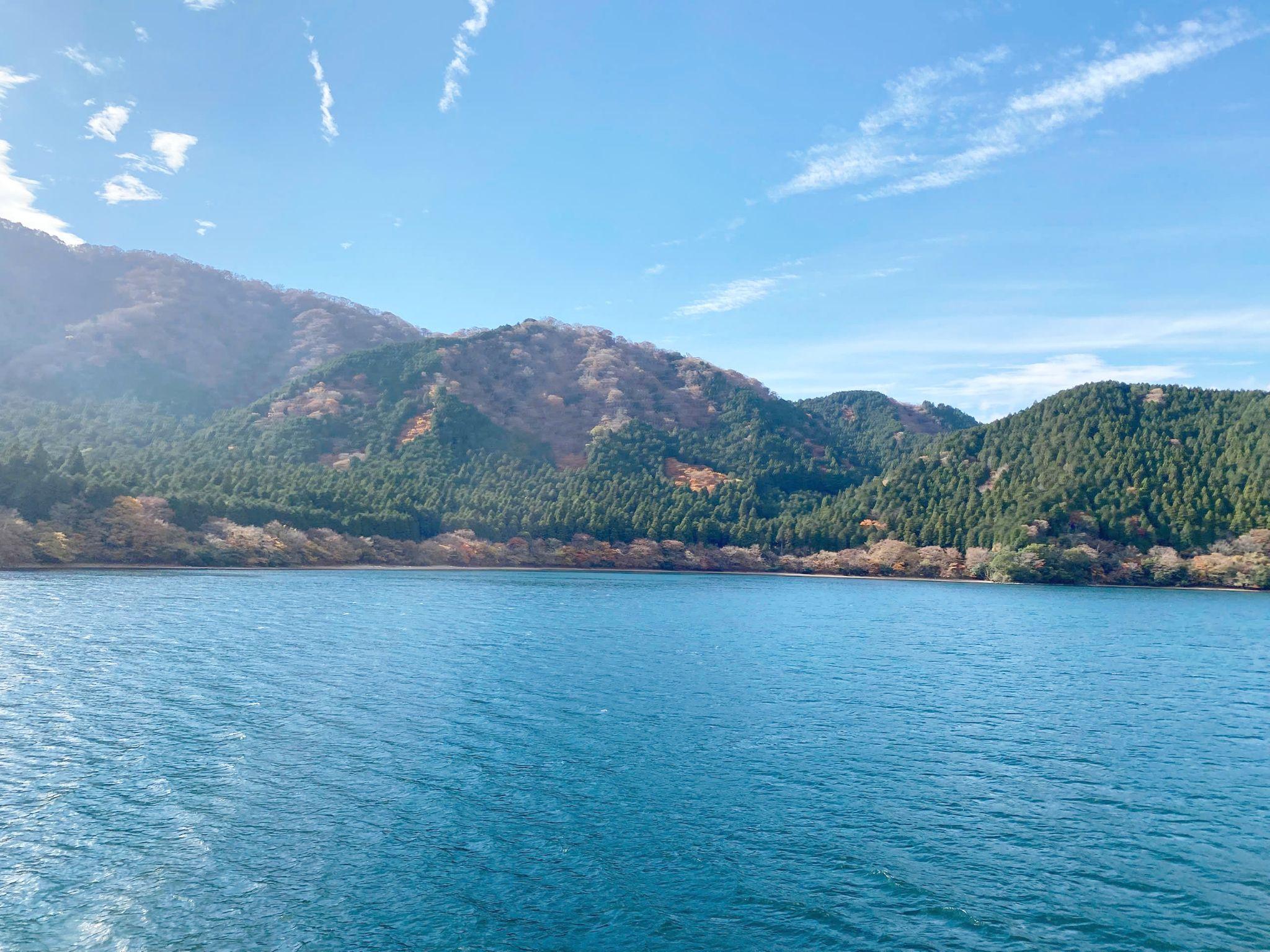 Góc chữa lành cho những tâm hồn xa xứ ở đất nước Mặt trời mọc - 3