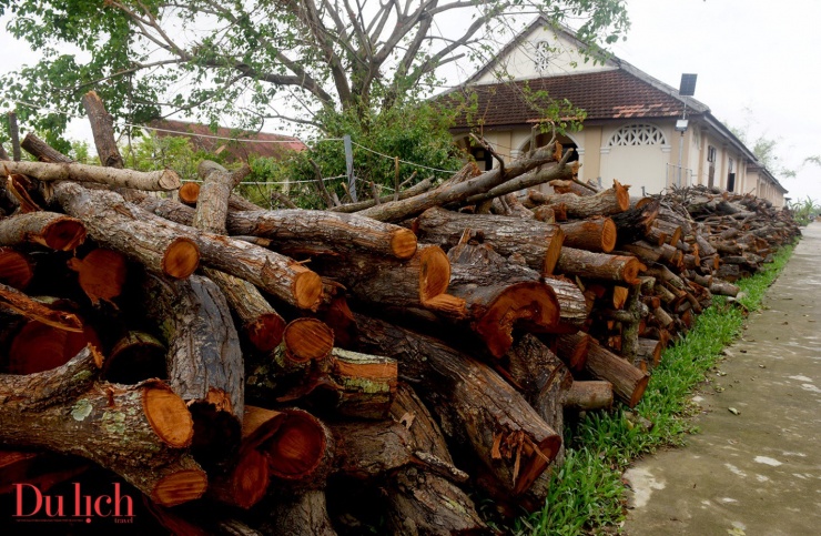 Tiểu chủng viện Làng Sông ở Gia Lai xơ xác sau bão - 7