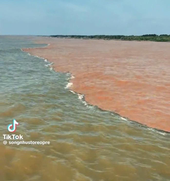 Hiện tượng 2 màu nước ở vùng ven biển tỉnh Cà Mau xuất hiện hằng năm tại địa phương