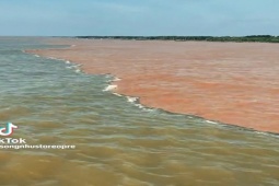 "Giải mã" hiện tượng nước có màu xanh và nâu đỏ ở ven biển Cà Mau