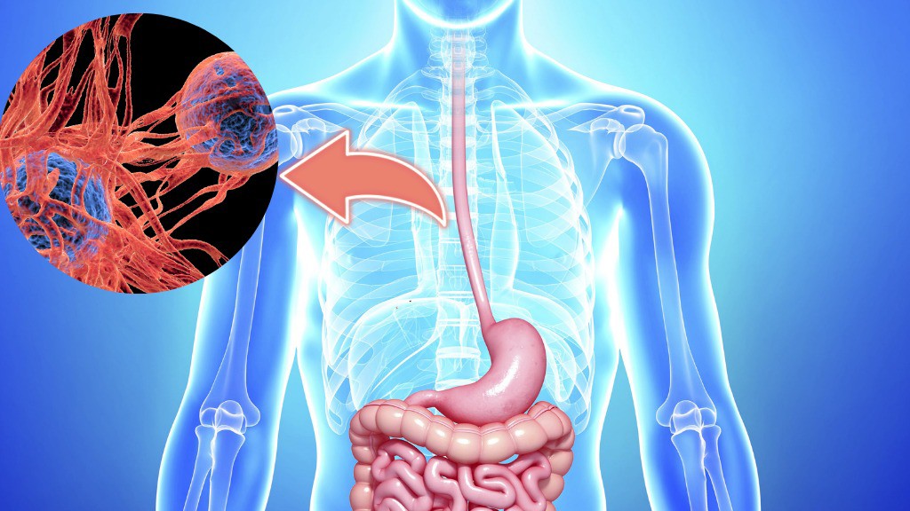 Những món người Việt yêu thích không ngờ làm tăng nguy cơ mắc ung thư thực quản - 1