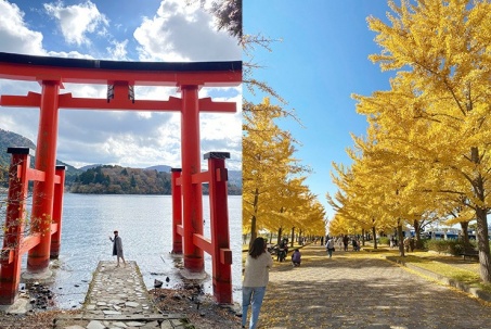 Góc chữa lành cho những tâm hồn xa xứ ở đất nước Mặt trời mọc