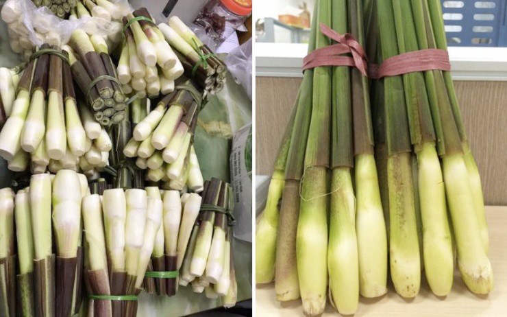 Thứ có đầy ở Việt Nam, ở nước ngoài là “nhân sâm dưới nước”, gần 150.000đ/kg - 3