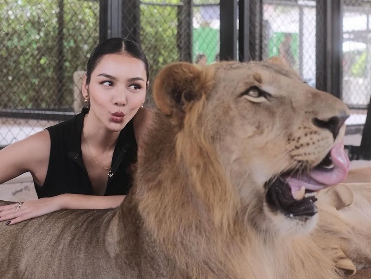 Dàn hoa khôi cầm biển dẫn đoàn ở lễ khai mạc SEA Games 33 - 10