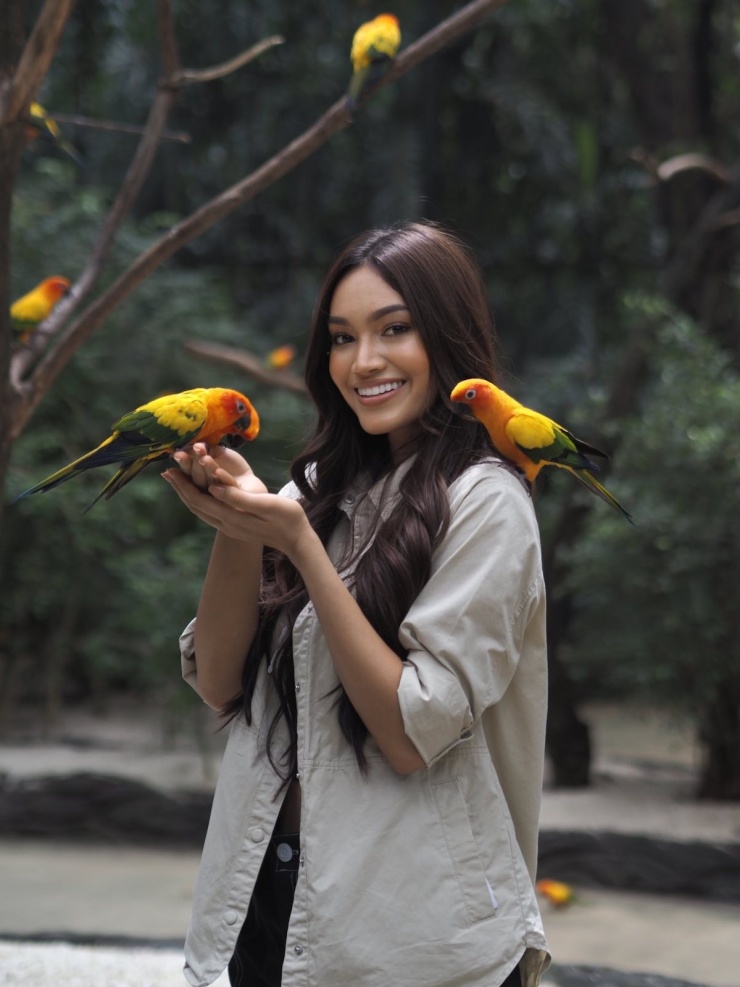 Dàn hoa khôi cầm biển dẫn đoàn ở lễ khai mạc SEA Games 33 - 11