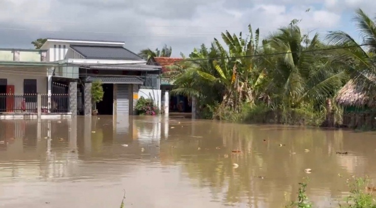 Mưa lũ đã làm 612 căn nhà ở xã Hàm Thuận Bắc bị ngập sâu.