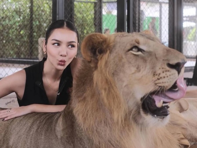 Dinsorsee Panida Kernjinda cao 1,68 m, sinh năm 1996. Cô hoạt động trong lĩnh vực người mẫu và giải trí, tốt nghiệp chuyên ngành điêu khắc mỹ thuật tại Đại học Chiangmai. Ảnh: Instagram/dinsordee.e