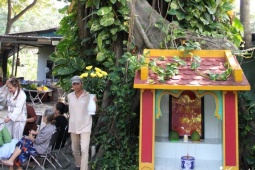 Chuyện kì bí về cây mít nài trăm tuổi ở ngôi miếu nổi tiếng TPHCM