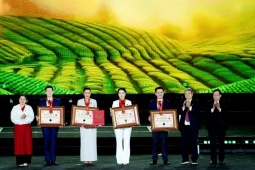 Khai mạc Lễ hội Trà Quốc tế, nhiều kỷ lục được vinh danh