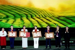 Khai mạc Lễ hội Trà Quốc tế, nhiều kỷ lục được vinh danh