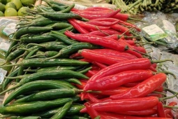 Giá ớt tăng gấp ba lần sau bão lũ