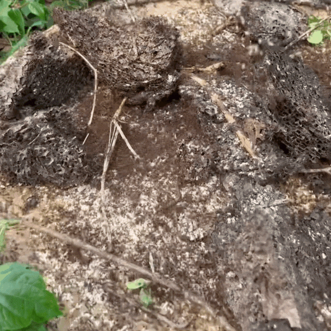 Nguồn: Huyền Búnn.