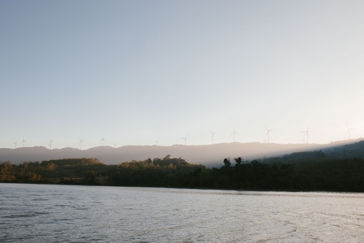 Khu rừng Quảng Trị có khung cảnh đẹp như trời Âu, hút khách tới check-in - 8