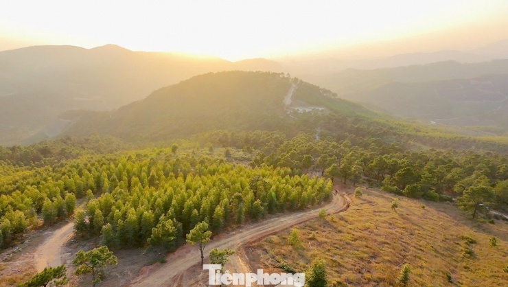 Du khách đổ xô đi cắm trại, check-in ở đồi cỏ phủ màu &#39;siêu thực&#39; - 1