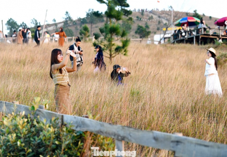 Du khách đổ xô đi cắm trại, check-in ở đồi cỏ phủ màu &#39;siêu thực&#39; - 5