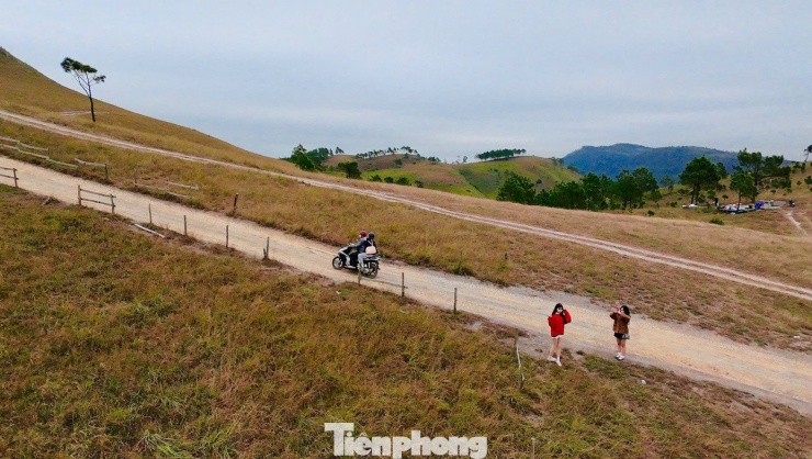 Du khách đổ xô đi cắm trại, check-in ở đồi cỏ phủ màu &#39;siêu thực&#39; - 4