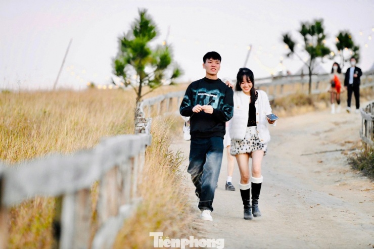 Du khách đổ xô đi cắm trại, check-in ở đồi cỏ phủ màu &#39;siêu thực&#39; - 9