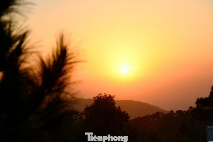 Du khách đổ xô đi cắm trại, check-in ở đồi cỏ phủ màu &#39;siêu thực&#39; - 15