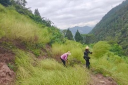 Thứ lỗi thời ở Việt Nam, ở nước ngoài là “mỏ vàng”