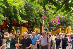 Lý do khách quốc tế nườm nượp đến Việt Nam