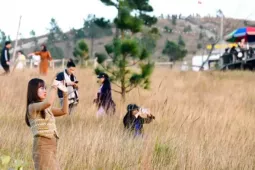 Du khách đổ xô đi cắm trại, check-in ở đồi cỏ phủ màu 'siêu thực'