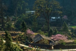 Cao nguyên đá Đồng Văn là 'Điểm đến văn hóa hàng đầu thế giới 2025'