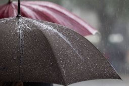 Đột phá thiết bị "hứng mưa" tạo ra điện, không tốn một tấc đất