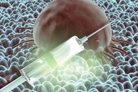 Tạo “trí nhớ miễn dịch” chống khối u, vắc-xin mới gây chú ý giới khoa...