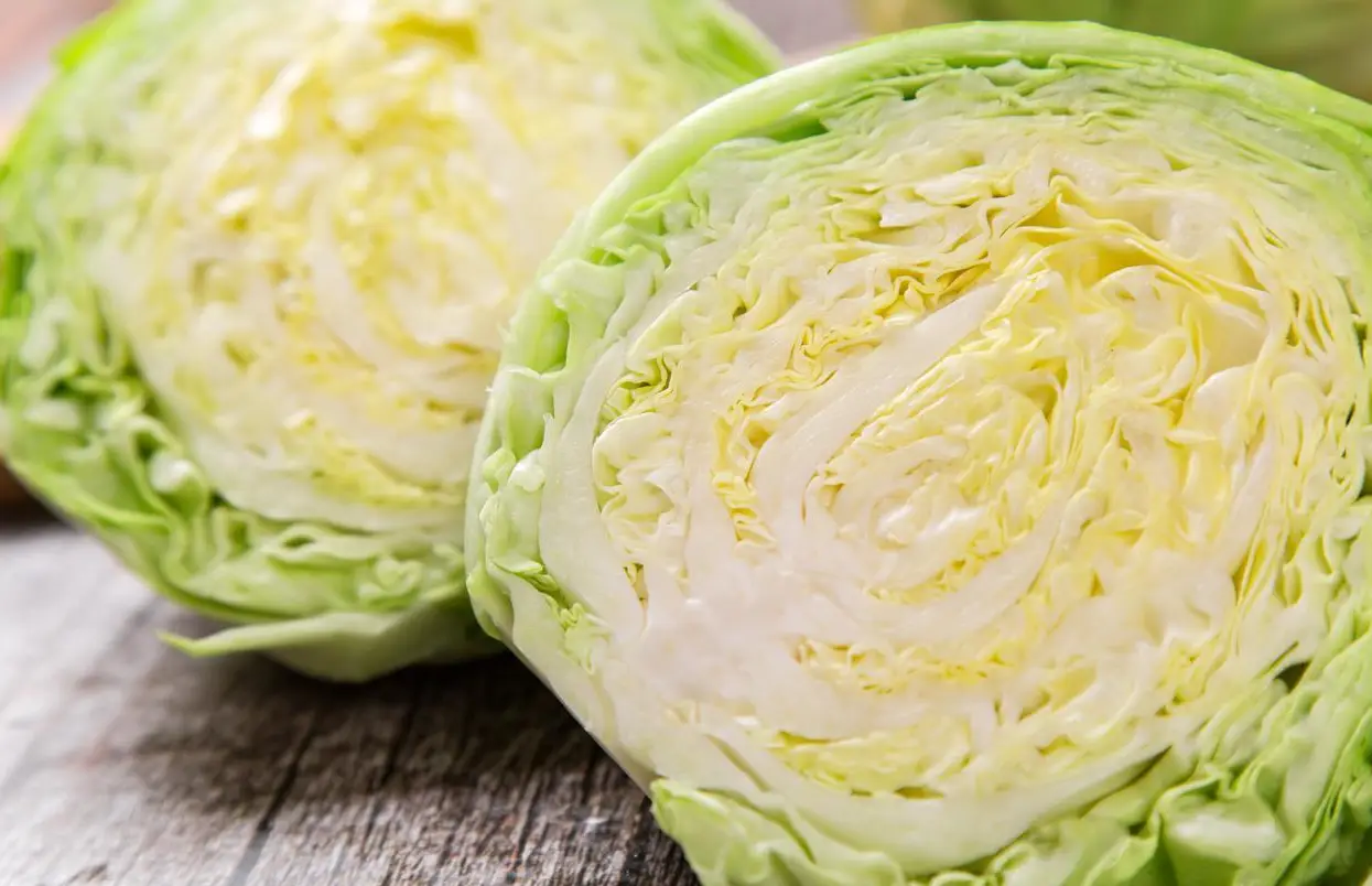 6 loại rau họ cải được ví như ‘thần hộ mệnh sức khỏe’ trong mùa đông - 5