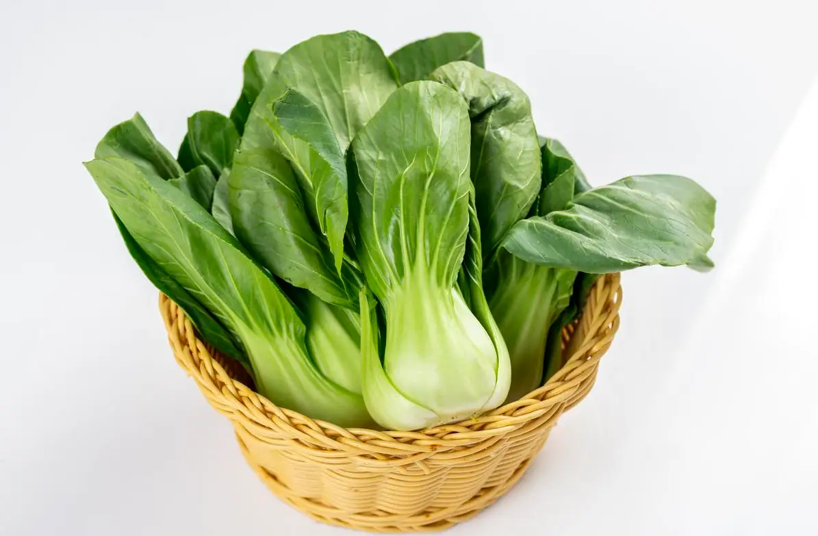6 loại rau họ cải được ví như ‘thần hộ mệnh sức khỏe’ trong mùa đông - 6