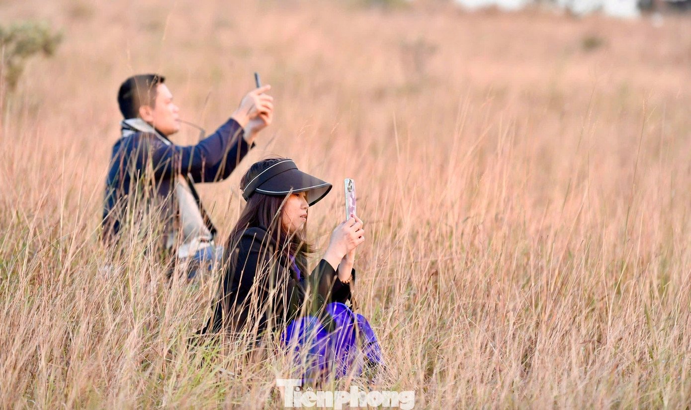 Du khách đổ xô đi cắm trại, check-in ở đồi cỏ phủ màu &#39;siêu thực&#39; - 10