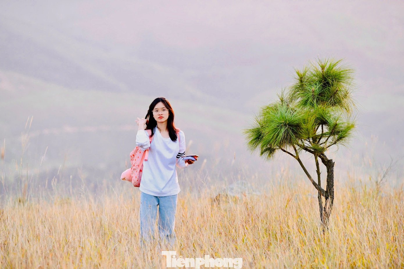 Du khách đổ xô đi cắm trại, check-in ở đồi cỏ phủ màu &#39;siêu thực&#39; - 11