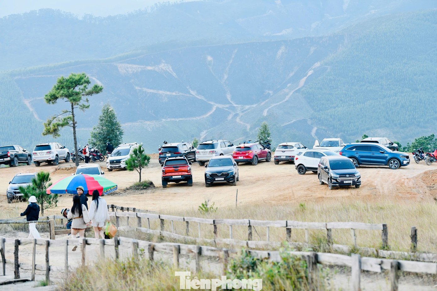 Du khách đổ xô đi cắm trại, check-in ở đồi cỏ phủ màu &#39;siêu thực&#39; - 13