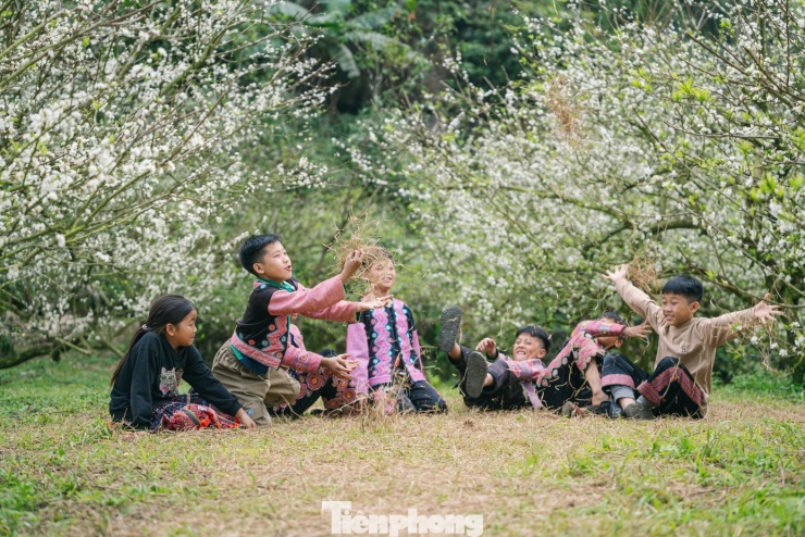 Hoa mận nở sớm, tinh khôi giữa tiết trời đầu đông ở Mộc Châu - 10