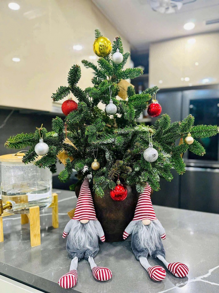 Nhiều người tiêu dùng ưa chuộng cây thông tươi vì mùi thơm của nó và khi trưng trong nhà cảm giác thật, có không khí Noel.