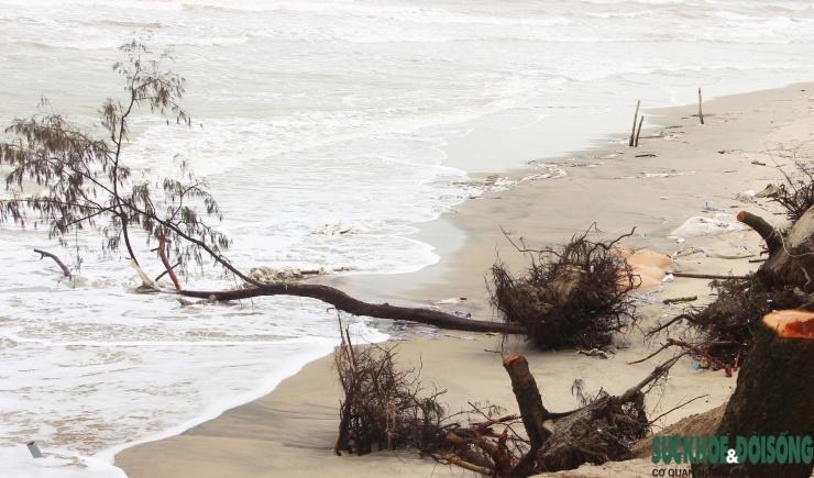 Cận cảnh bờ biển bị sóng dữ xé toạc, đe dọa 'nuốt' hàng loạt công trình - 3