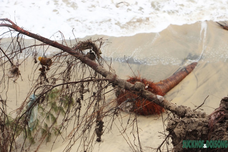 Cận cảnh bờ biển bị sóng dữ xé toạc, đe dọa 'nuốt' hàng loạt công trình - 5