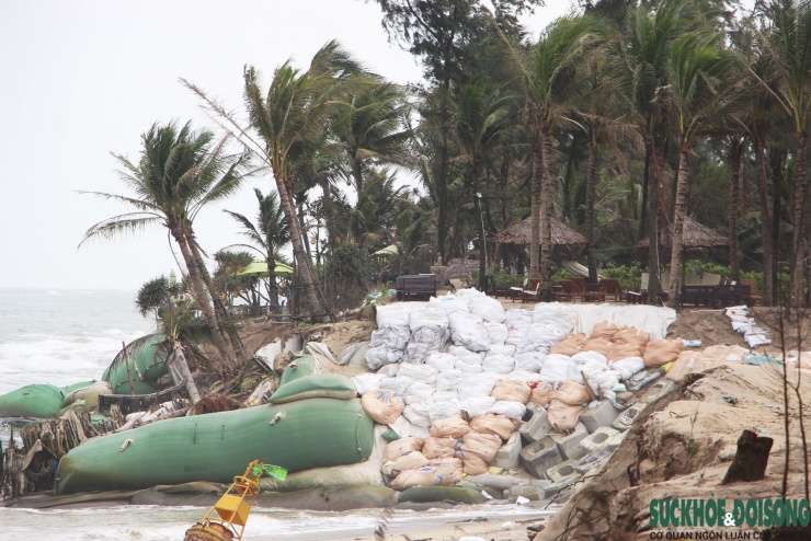 Cận cảnh bờ biển bị sóng dữ xé toạc, đe dọa 'nuốt' hàng loạt công trình - 7