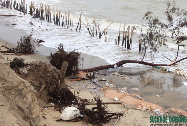 Clip: "Bức tường" bằng các khối bê tông, bao cát ngăn sóng dữ đập vào bờ.