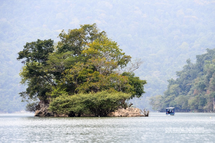 Rừng cổ thụ &#39;khoác áo mới&#39; bên hồ nước ngọt đẹp nhất thế giới - 4