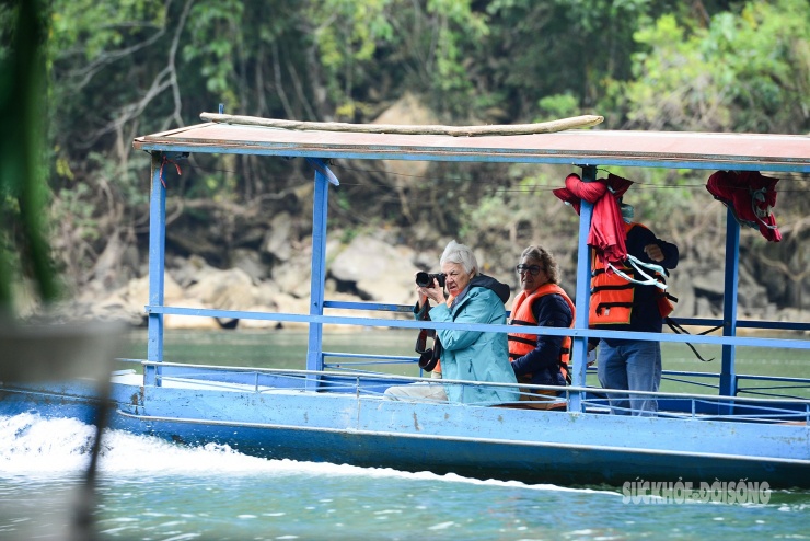 Rừng cổ thụ &#39;khoác áo mới&#39; bên hồ nước ngọt đẹp nhất thế giới - 5