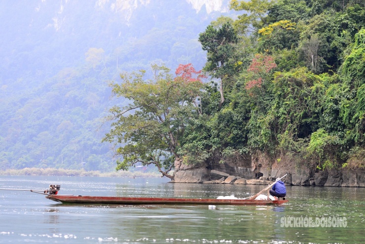 Rừng cổ thụ &#39;khoác áo mới&#39; bên hồ nước ngọt đẹp nhất thế giới - 12