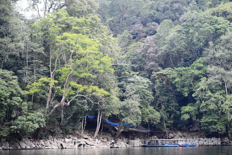 Rừng cổ thụ &#39;khoác áo mới&#39; bên hồ nước ngọt đẹp nhất thế giới - 13