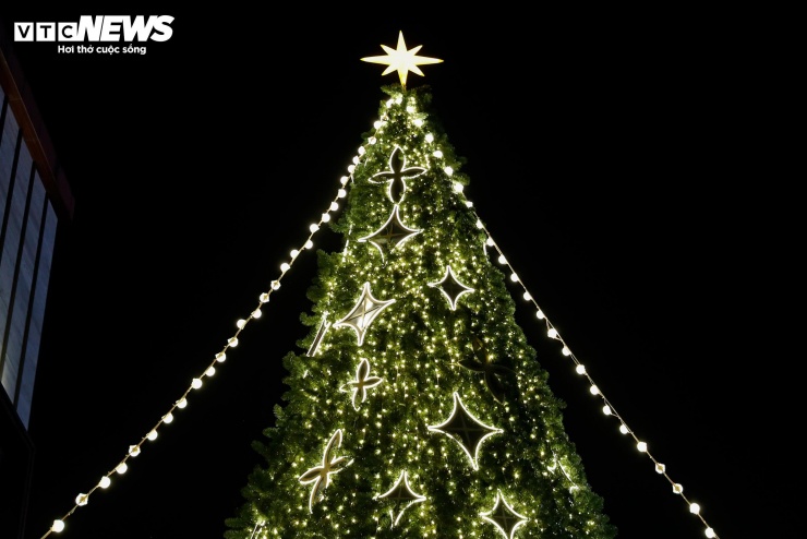 Điểm nhấn là cây thông cao khoảng 10m, tạo nên không gian nổi bật và thu hút mọi ánh nhìn.